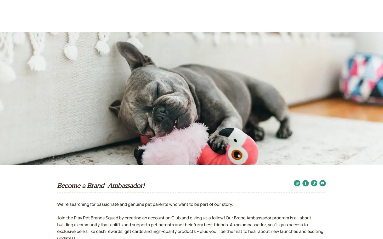 Page Become a Brand Ambassador de Play Pet Brands