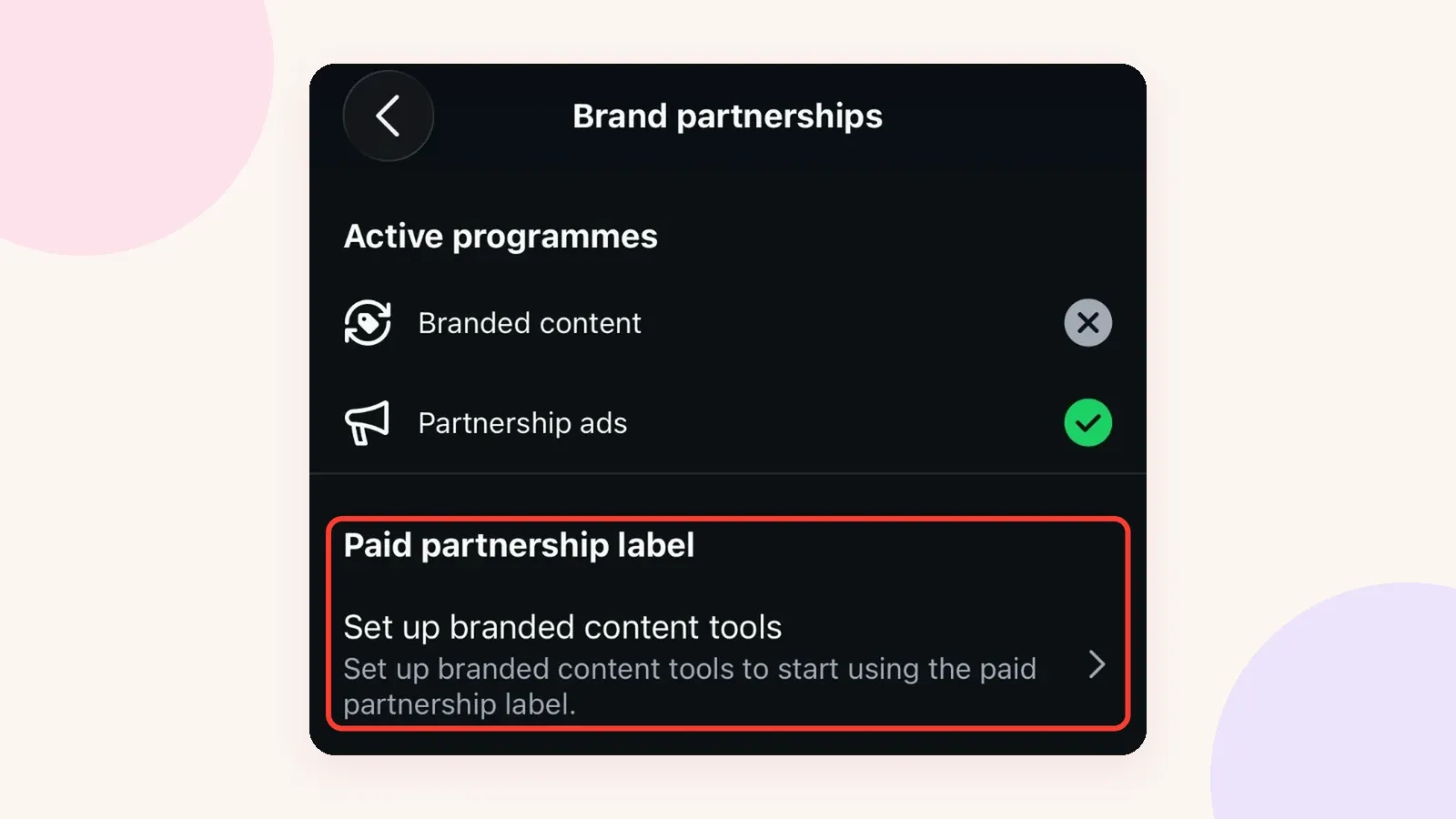 Écran des paramètres Instagram "Brand partnerships" avec l'option "Set up branded content tools" mise en évidence sous "Paid partnership label"