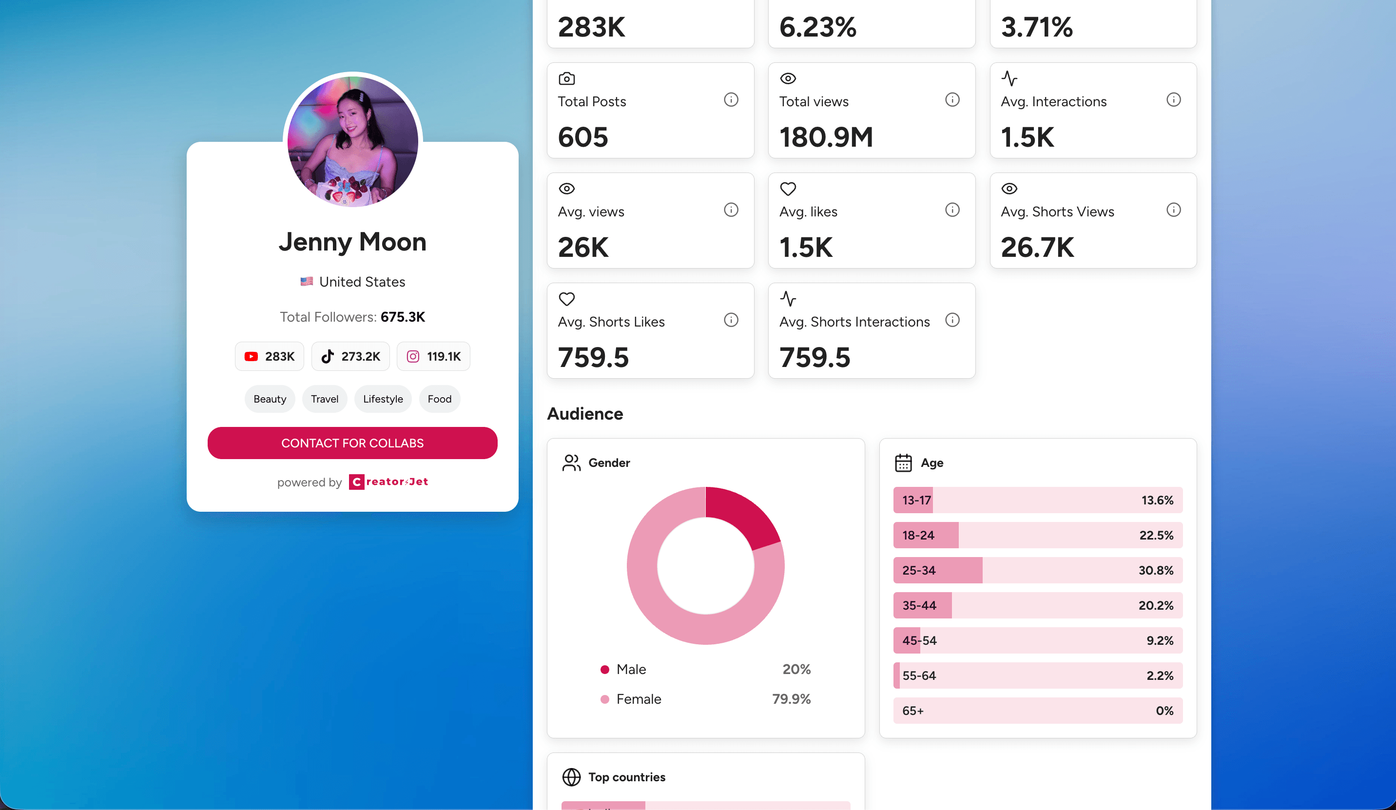 Media kit audience section showing platform followers, performance metrics, gender, age, and audience details