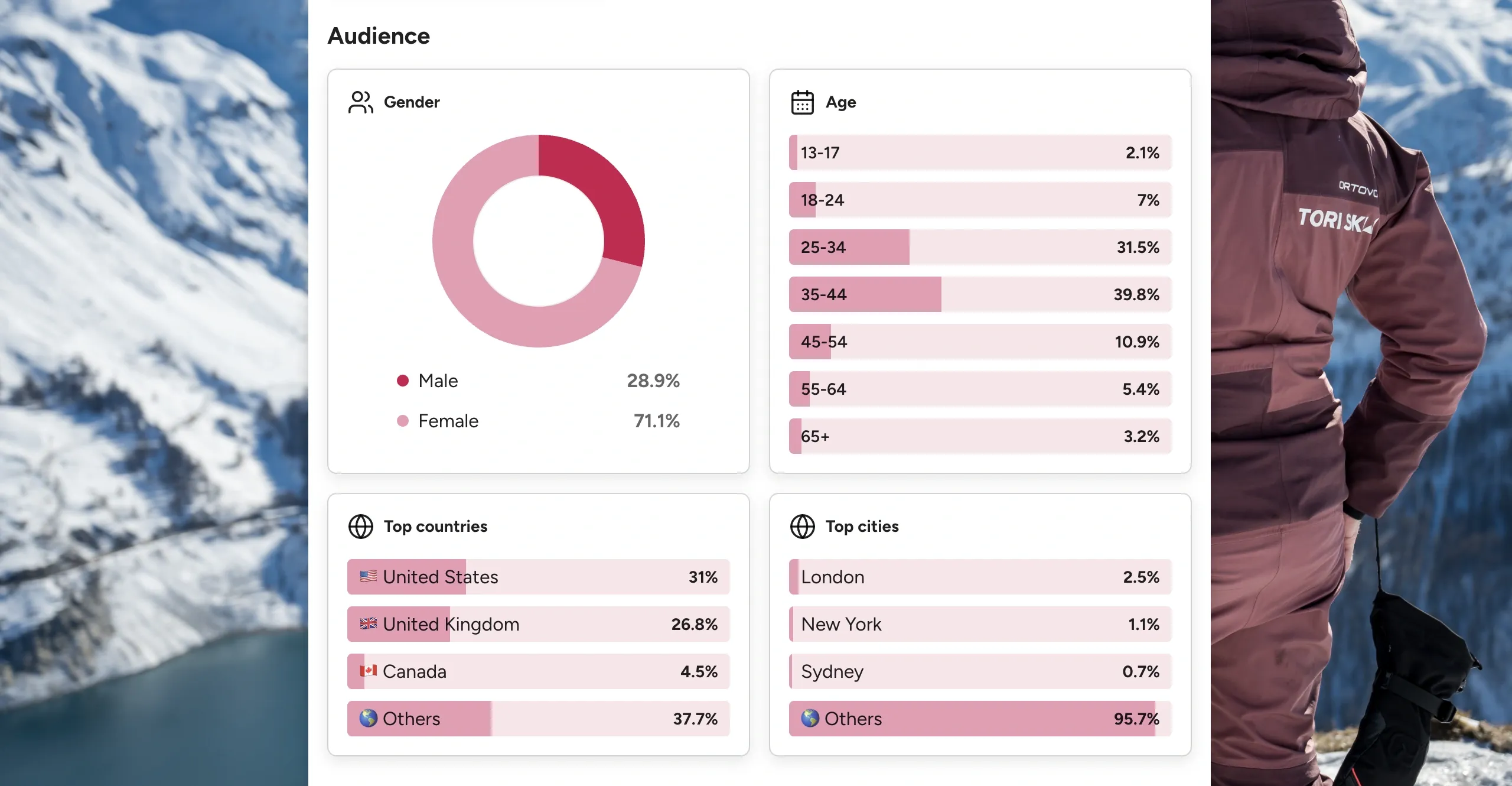 Media kit audience section showing gender, age, top countries, and top cities