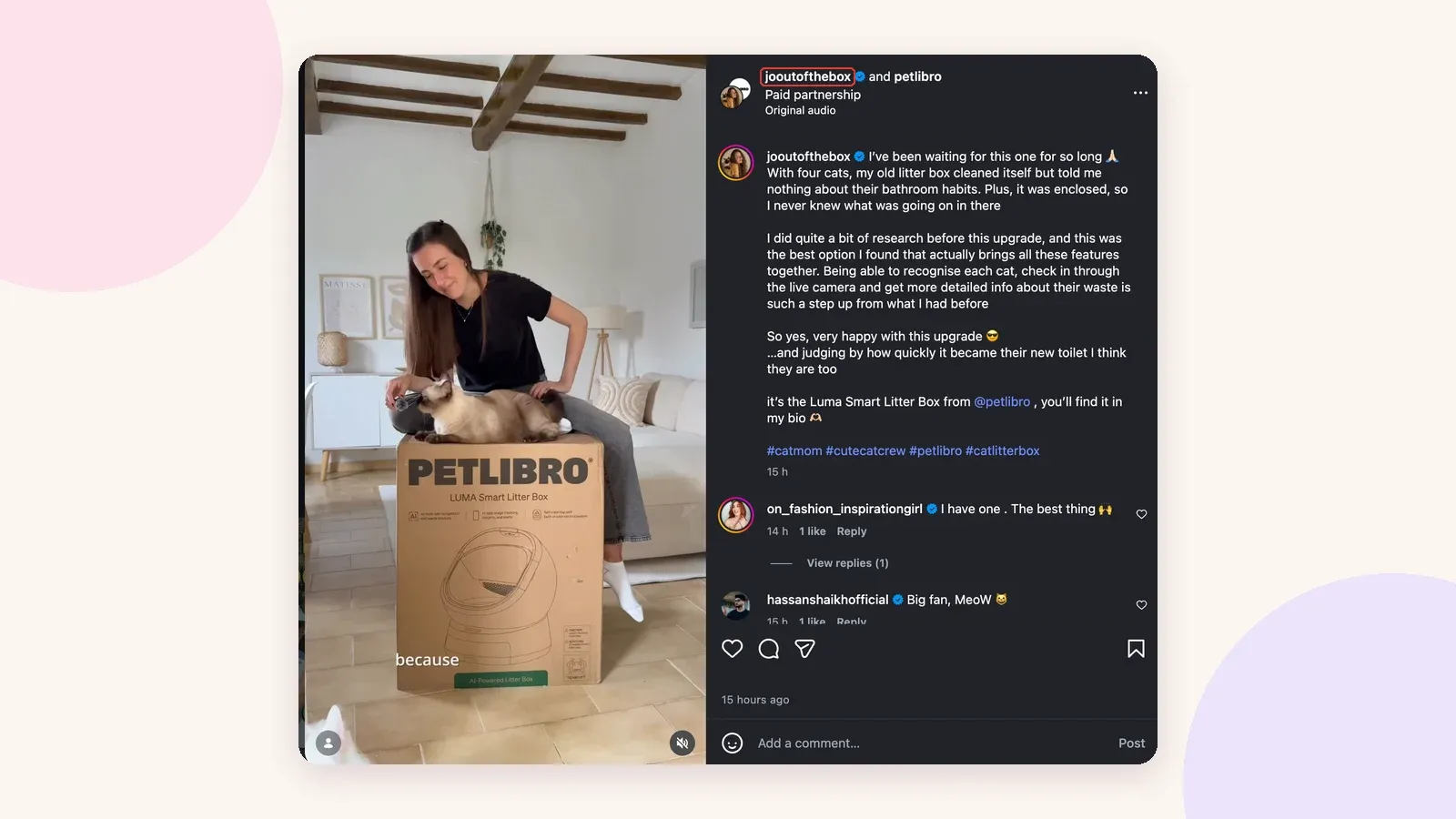 Post de parceria paga entre @jooutofthebox e a Petlibro