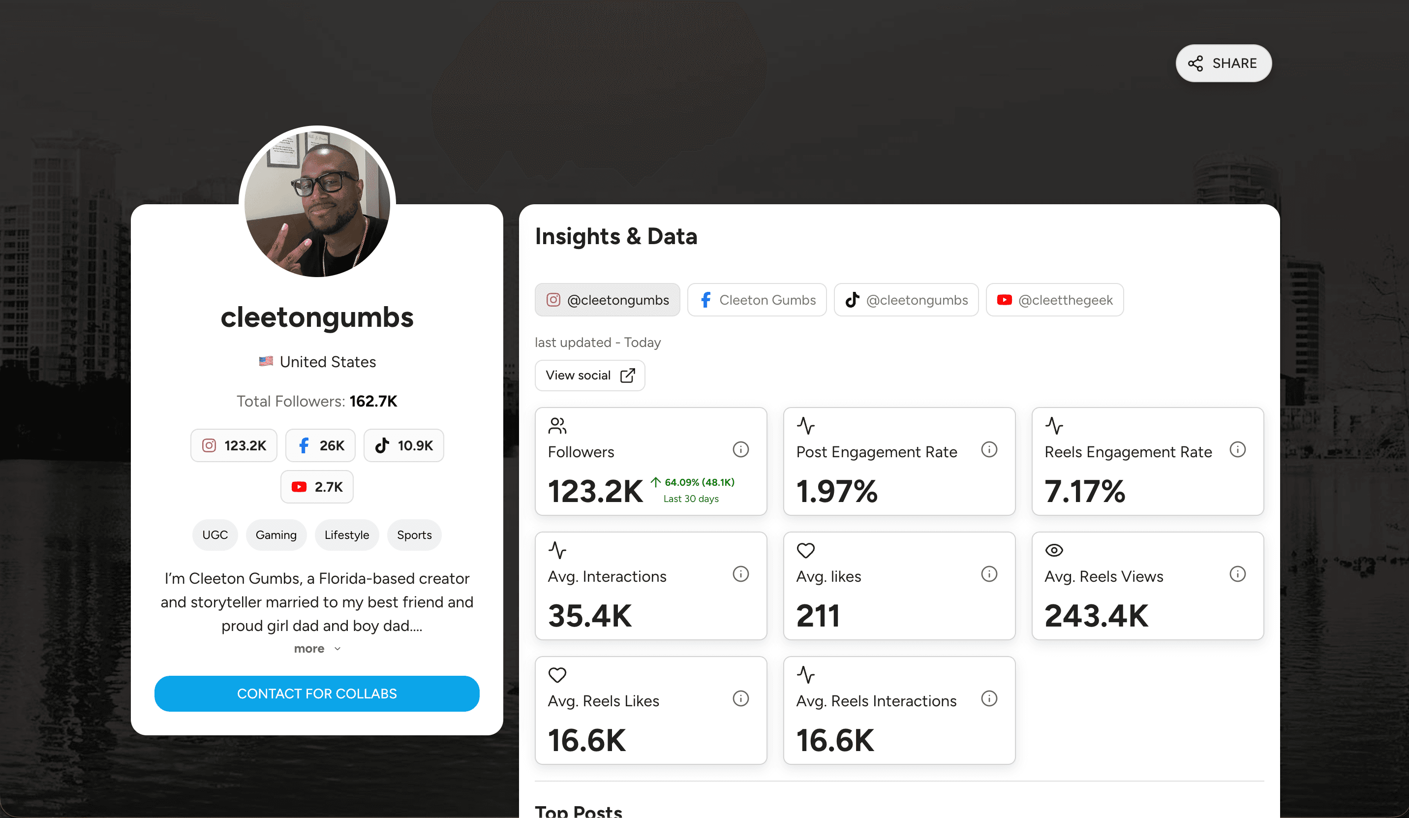Influencer media kit showing audience profile, platform followers, engagement rate, average interactions, and Reels views